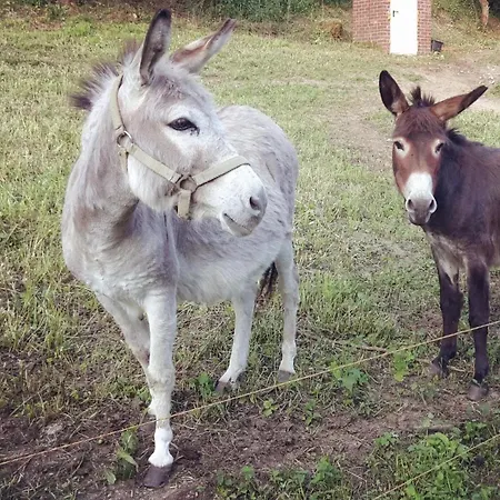 Grosse In Hildfeld * Winterberg