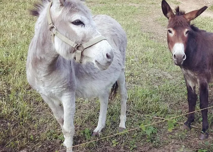 Grosse In Hildfeld * ヴィンターベルク